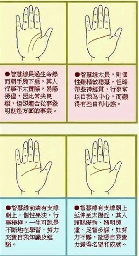 断掌左手相图解大全男_手相图解大全男断掌_断掌手相图解大全男左
