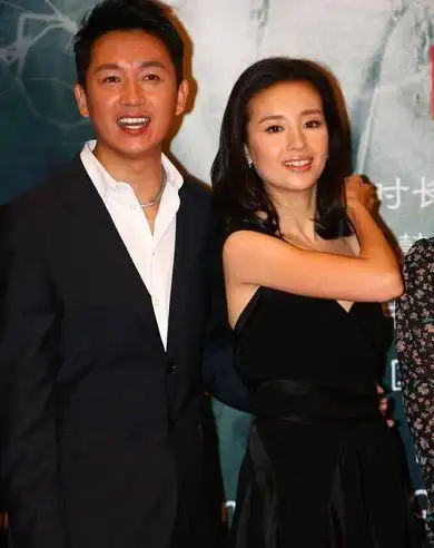 董洁到底有多狠为了离婚不惜抹黑前夫9年间不让亲生父子相见