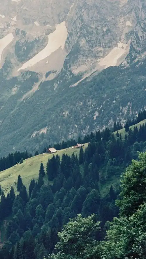 拼接文艺风景手机壁纸