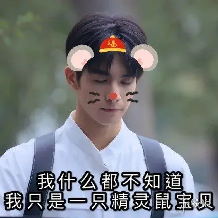 宋威龙表情包汇总 下一站是幸福宋威龙元宋表情包大全一览