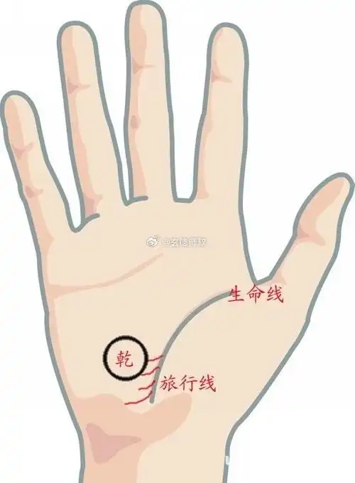 适合异地发展的手相:生命线的中端有分叉而末端趋向乾宫的手纹,被称作