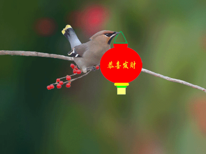 780_585gif 动态图 动图