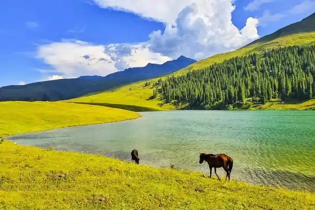 天苍苍,野茫茫,风吹草地见牛羊,夏季最美的景色,要说还是新疆一碧万顷