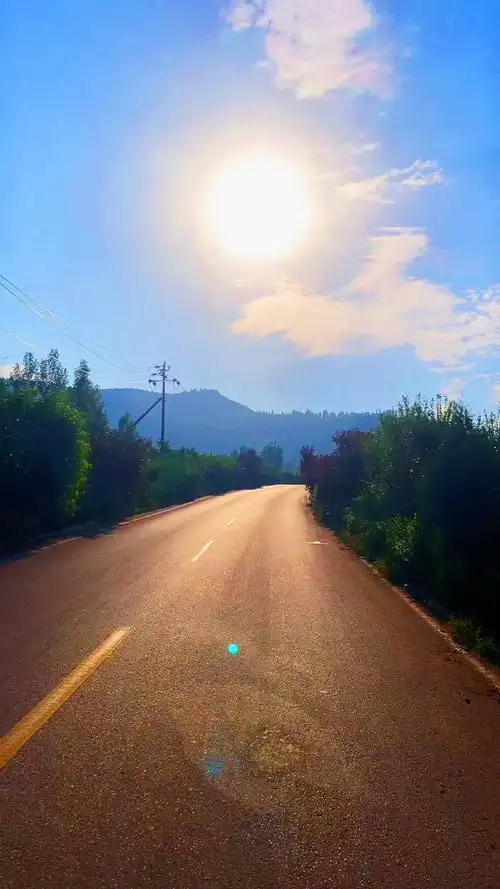 清晨的阳光,每一缕都灿烂,带着美好,迎接新的一天!771595