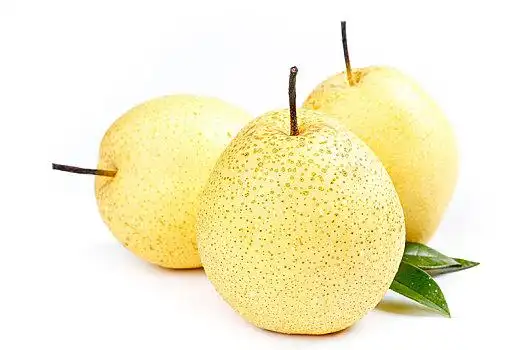 徽州雪梨图片_徽州雪梨图片大全_徽州雪梨图片下载