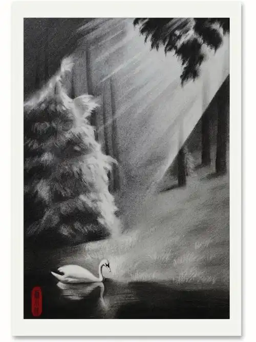 素描景物寻光的天鹅