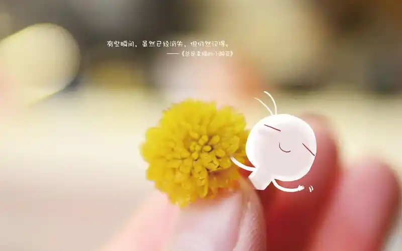 幸福可爱小豌豆桌面壁纸下载