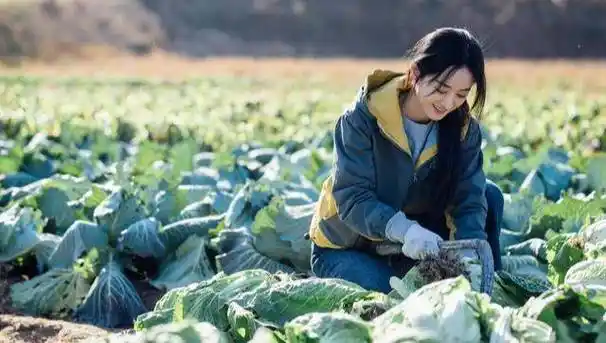 导演问赵丽颖:"让你演一个会砍大白菜的农村妇女,能胜任吗?