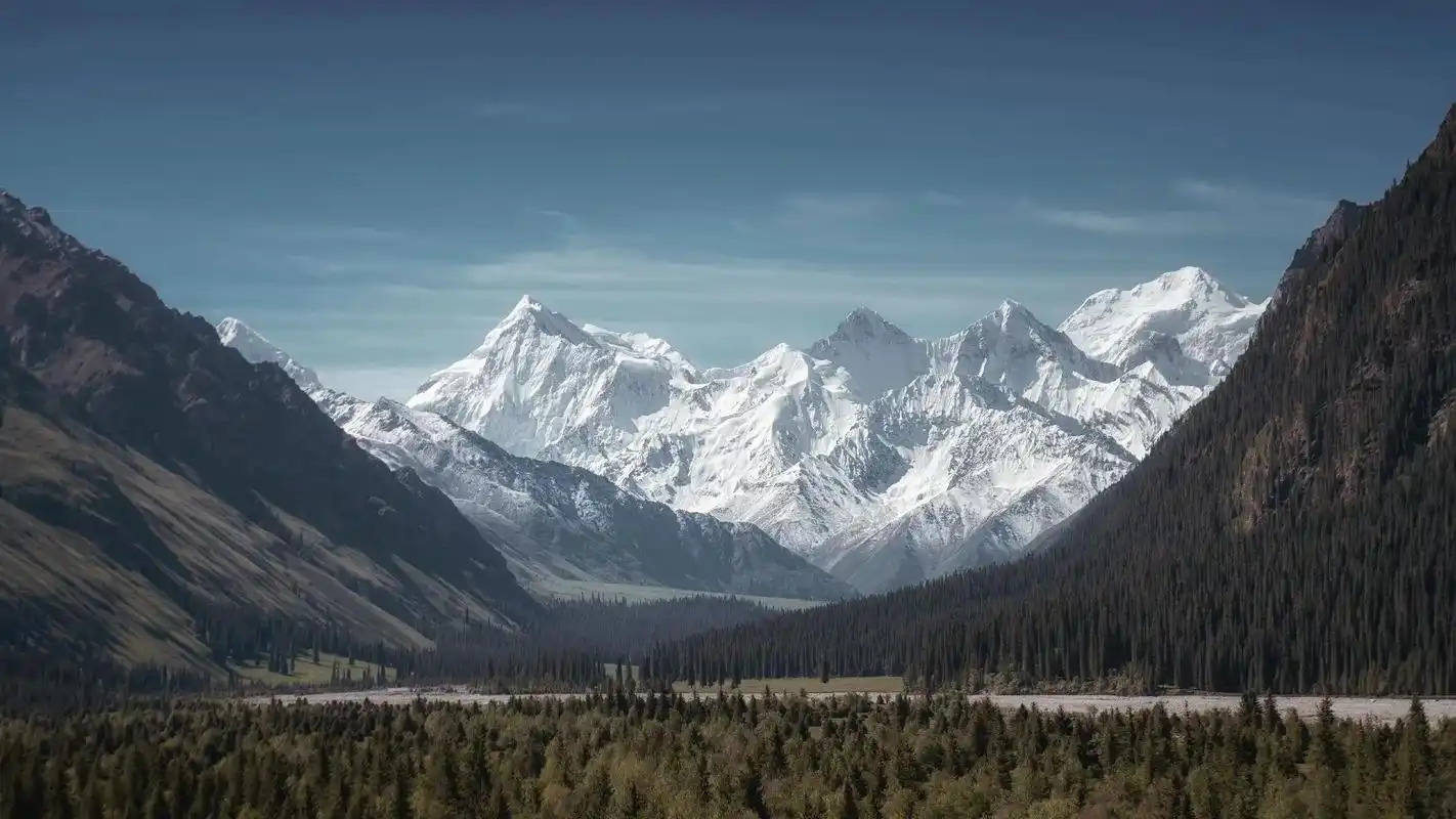 高清电脑壁纸请查收～#高清壁纸 #电脑壁纸  - 抖音