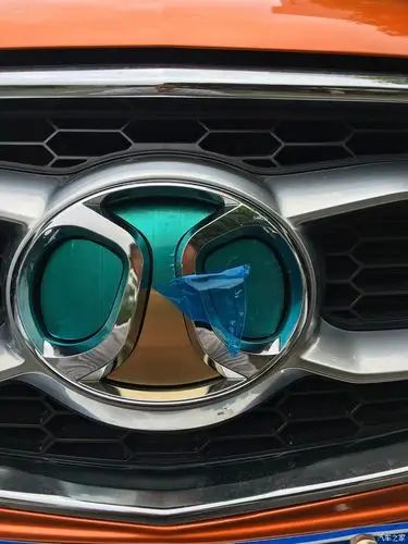 【图】轻松一帖,请大家来看汽车之家新车标和我的小装饰_绅宝x65论坛