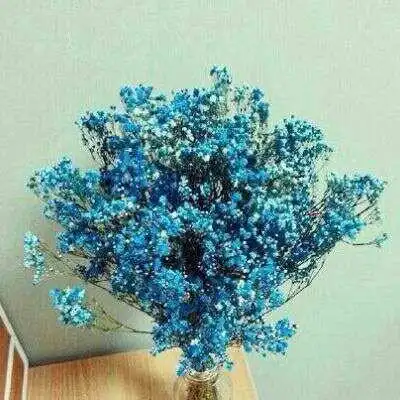 满天星图片高清图片唯美微信头像满天星图片大全