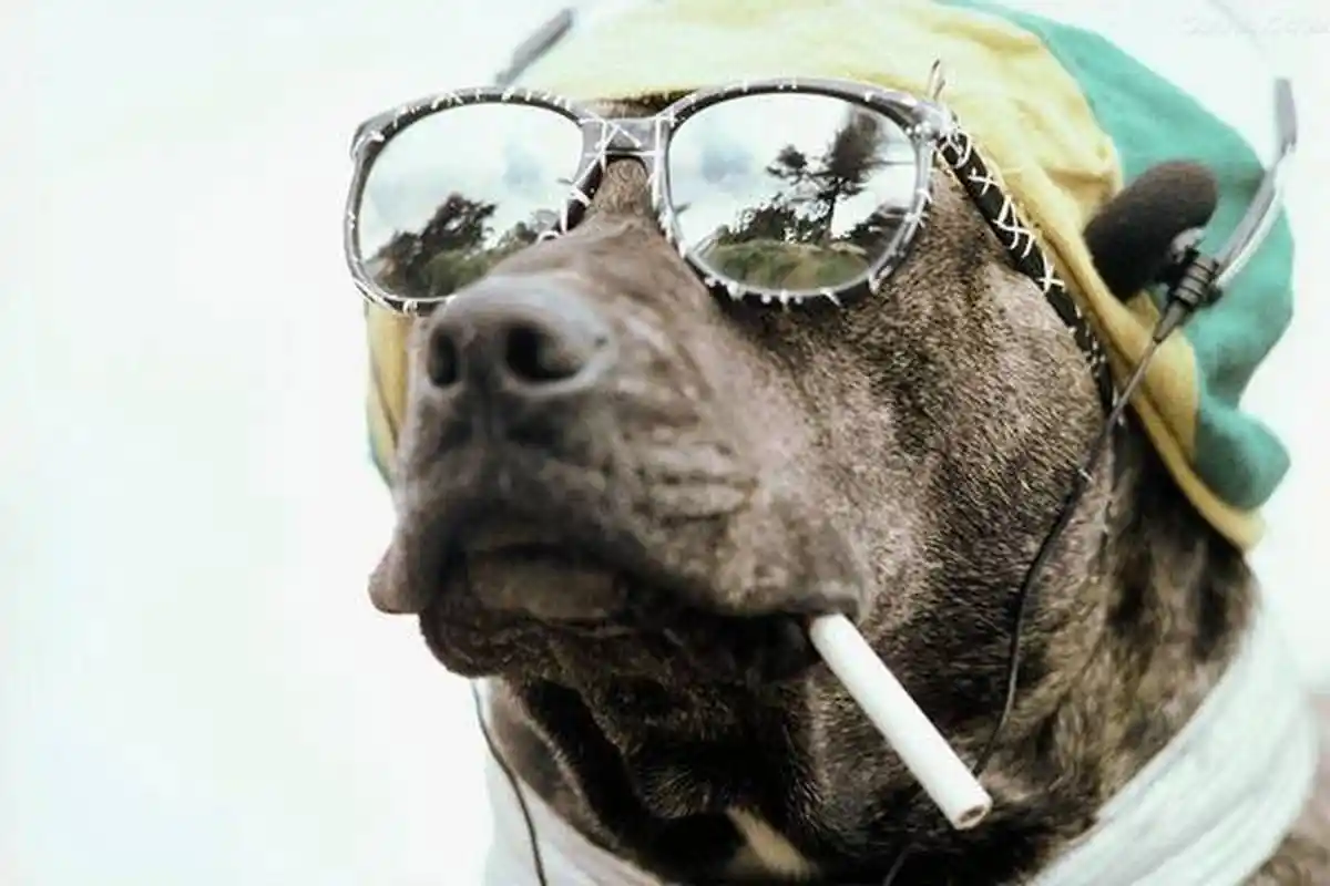 这里只论年龄,而不是论智力付钱!