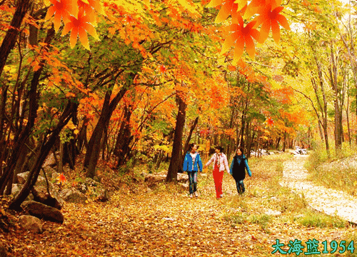 500_360gif 动态图 动图