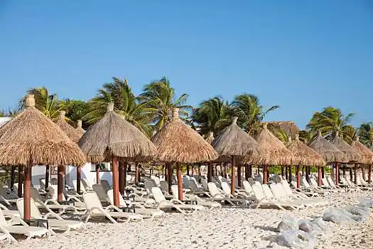 热带,海滨地区,棕榈树,白沙,蓝色,海洋,墨西哥