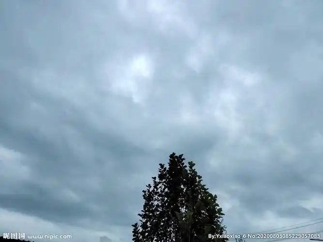 jpg颜色:rgb100共享分举报收藏立即下载关 键 词:天空 大树 阴天 阴沉
