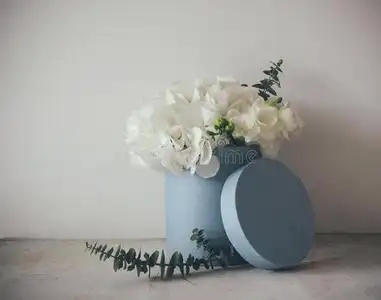 一束白色绣球花照片