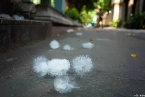 【最扫街】gr的28mm视角轻便之旅 沙面/小洲村/水产市场