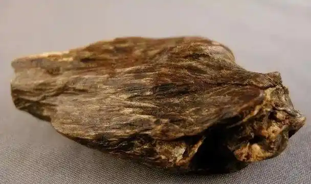 世界最贵木材:每公斤已经卖到8万美元,沉香是否可以人工培育?