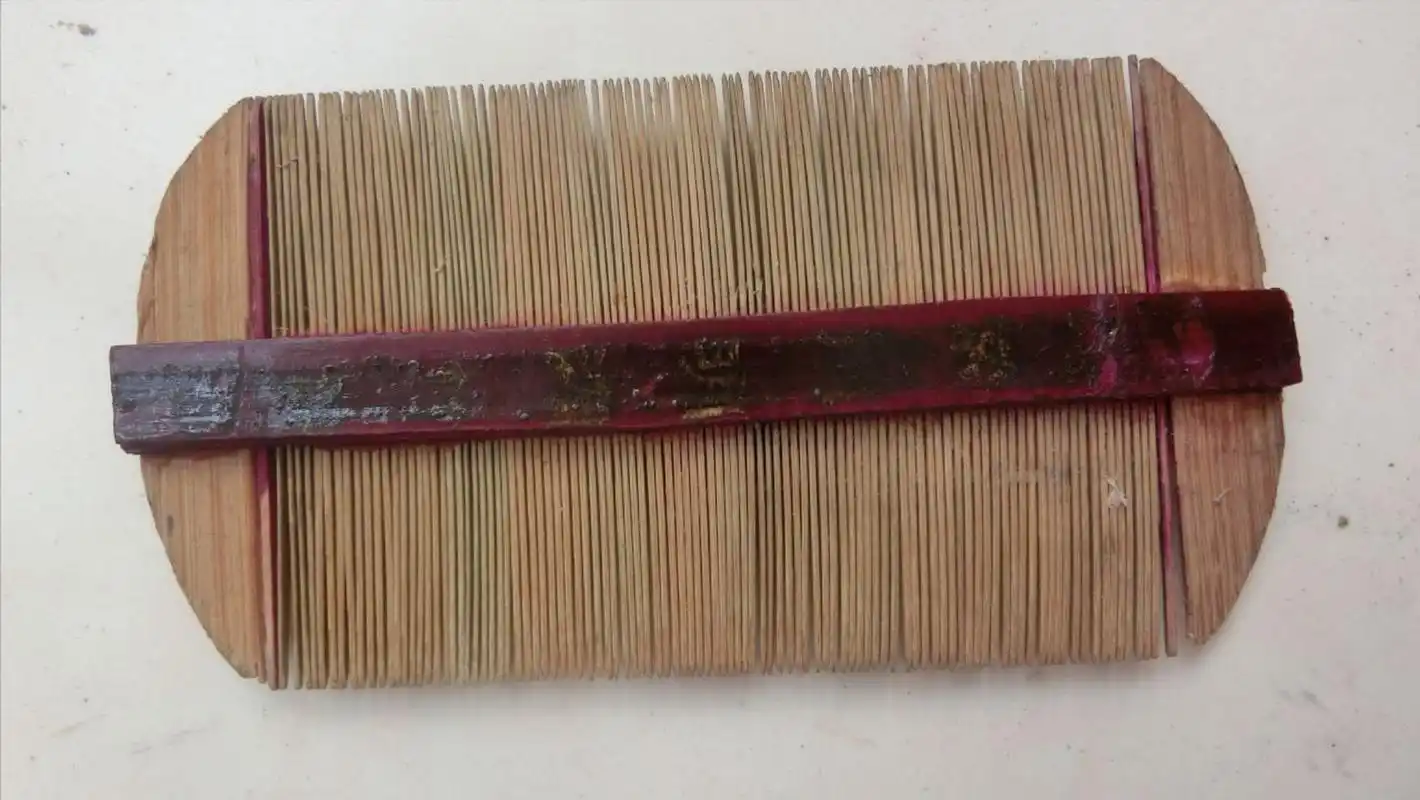 女性经常使用它来梳头,以去除头上的虱子,但现在很难找到篦子的购买