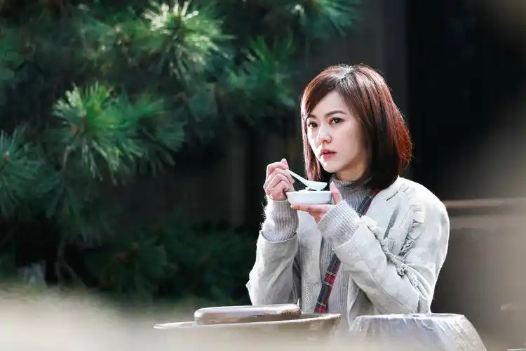 《火柴小姐与美味先生》z视介今日开播 陈晓陈意涵携手开启美食治愈之