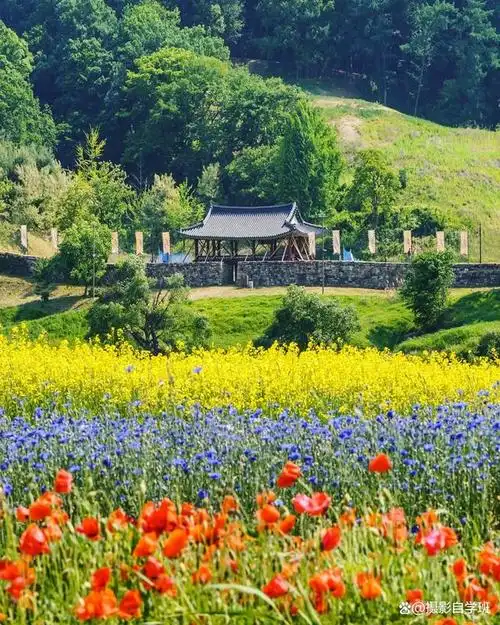 春天风景那么美,照片不要拍稀碎,这些春天摄影技巧学起来吧