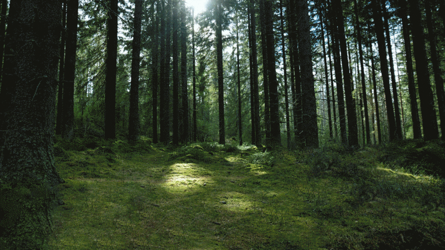 1075_605gif 动态图 动图