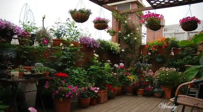 40平楼顶露台花园实景图片-成都芳草居私家花园设计