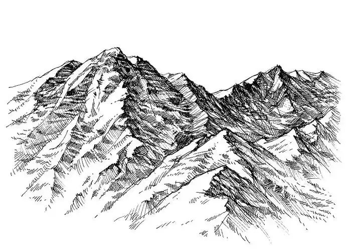 森林中的一条小路