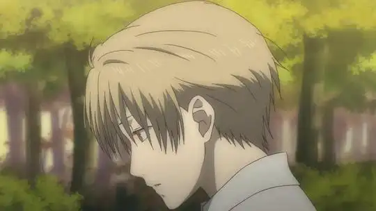 猫与友人帐:夏目侧脸.