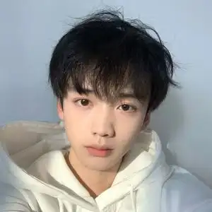 假发男短直发微分碎盖时尚短发奶狗蓬松锅盖头帅气日常学生全头套