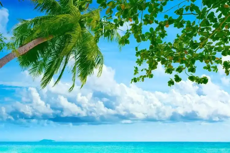 清新护眼蓝天白云绿色麦田风景高清壁纸(3840x2160) - 4k风景高清壁纸