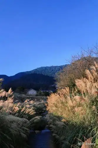 你的手机里有哪些自己拍的真实的风景照?