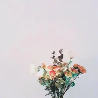 静物唯美头像图片大全高清好看的微信头像静物唯美图片头像