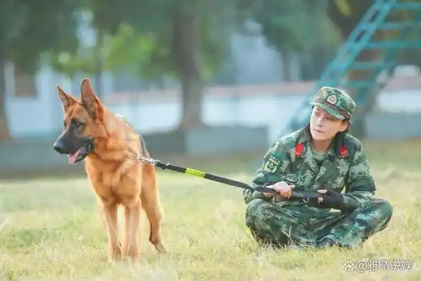 靠嫁人翻身的张馨予嫁给爱情活出自我