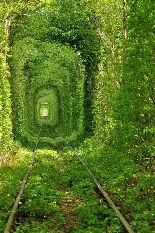 这些绿色主题的仙境,足够你用来养眼