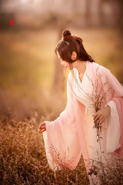 《粉蓼醉清秋》, 云成雨古风唯美写意人像