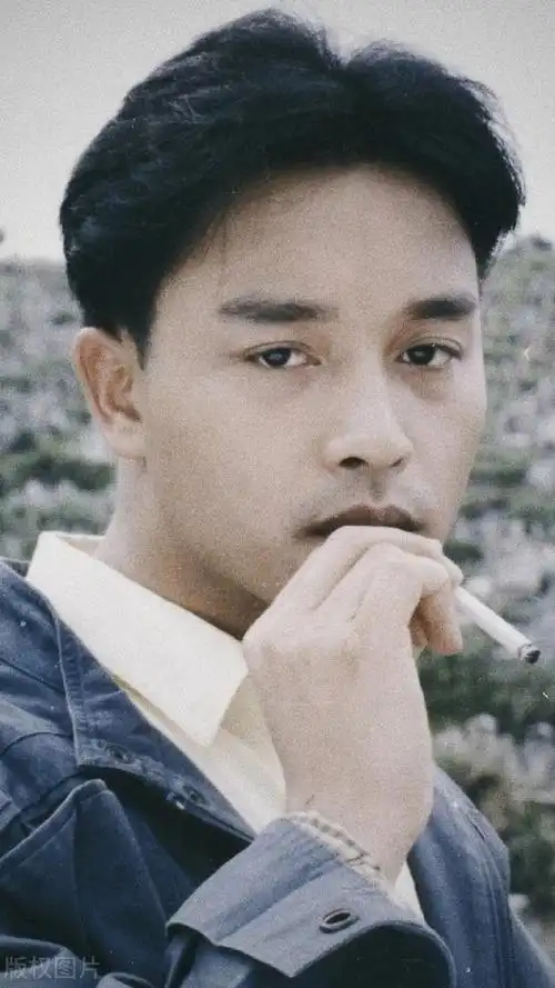 张国荣什么时候去世的(2003年,张国荣一跃而下.