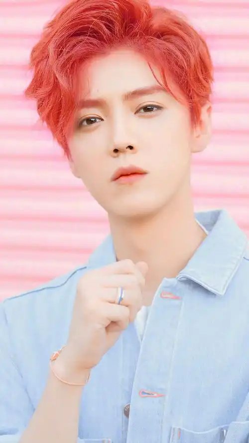 鹿晗##全世界最帅的老板