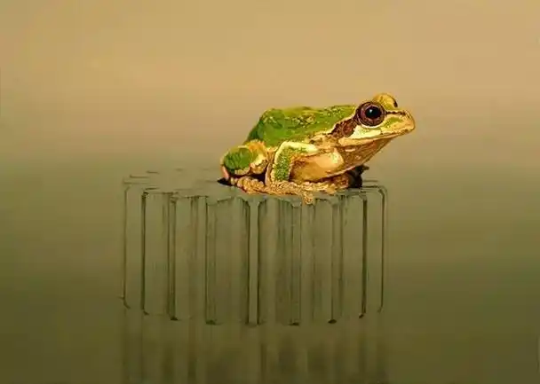 【油画】韩国超写实第一人,一幅画卖90万,看完简直怀疑人生!