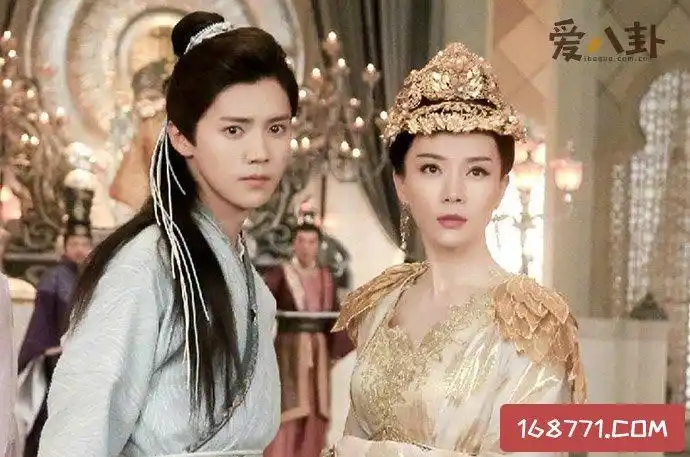 陈数是鹿晗的什么人,陈数和鹿晗两人唯一的交集点