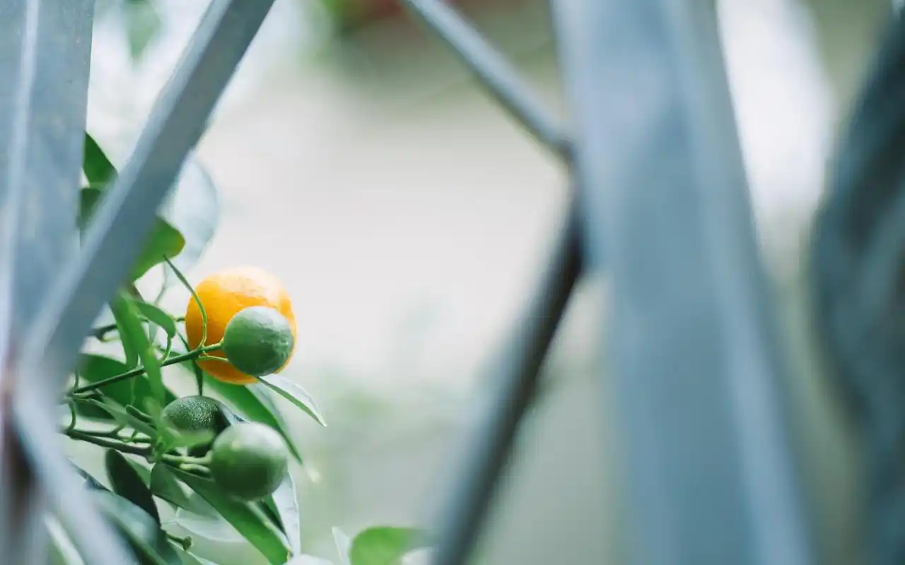 小清新文艺图片唯美 温馨小清新文艺