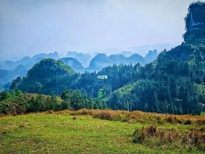 广西周边游|罗城高山草甸|柳州周边