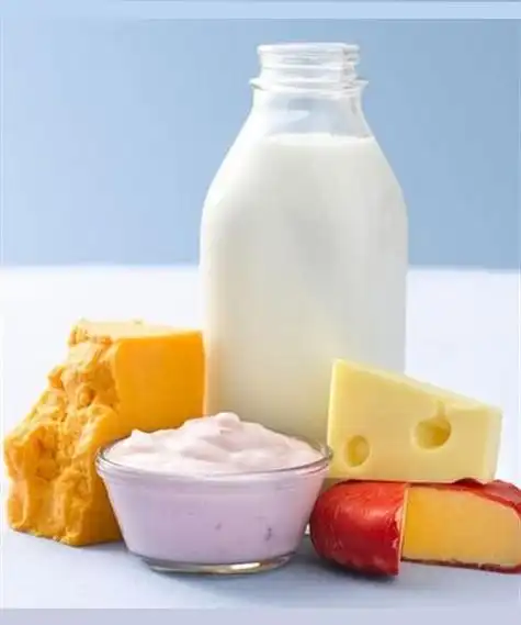 dairy products