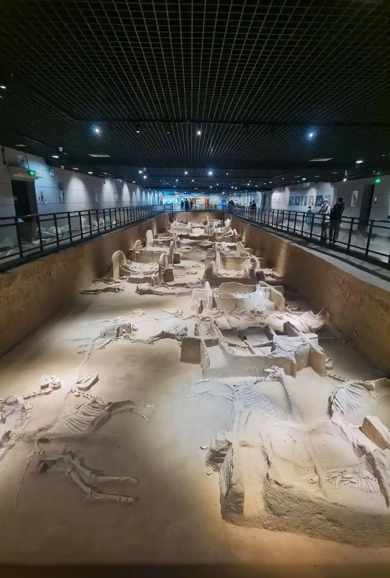 【携程攻略】洛阳天子驾六博物馆适合朋友出游旅游吗,天子驾六博物馆