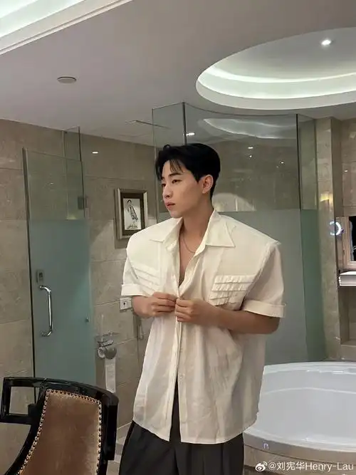 刘宪华双开门##刘宪华双开门冰箱