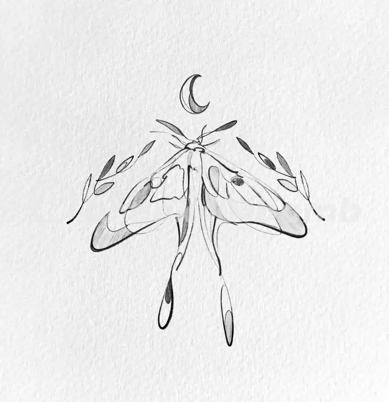 海豚金鱼鲸鱼等纯净的动物线条纹身手稿 寓意自己能有保持纯净之心,也