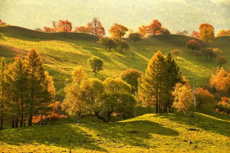 秋天是浪漫的,是唯美的.