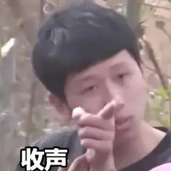 收声!(王境泽指人表情包)_指人_王境_收声表情
