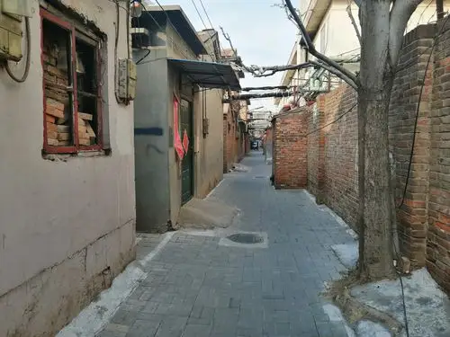 北方城市沧州市区内的老旧平房区里胡同今天带你去看看
