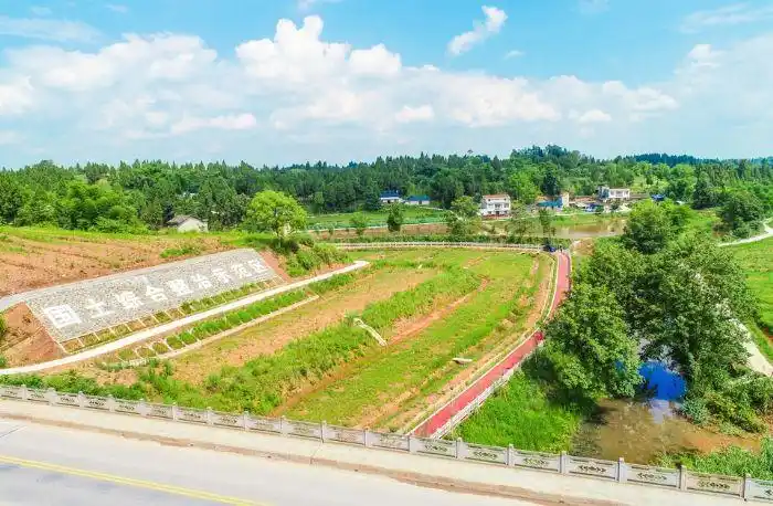 重庆市首届生态保护修复十大案例近日完成推荐,我区太安镇蛇形村全域